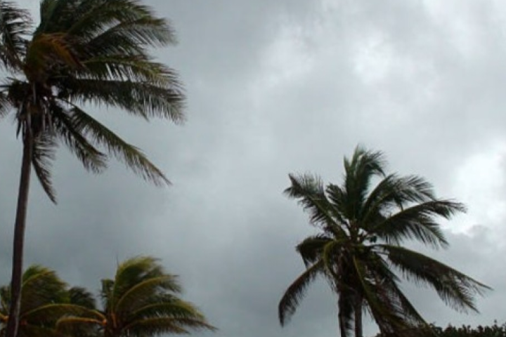 Screenshot_20250902_183205_Chrome