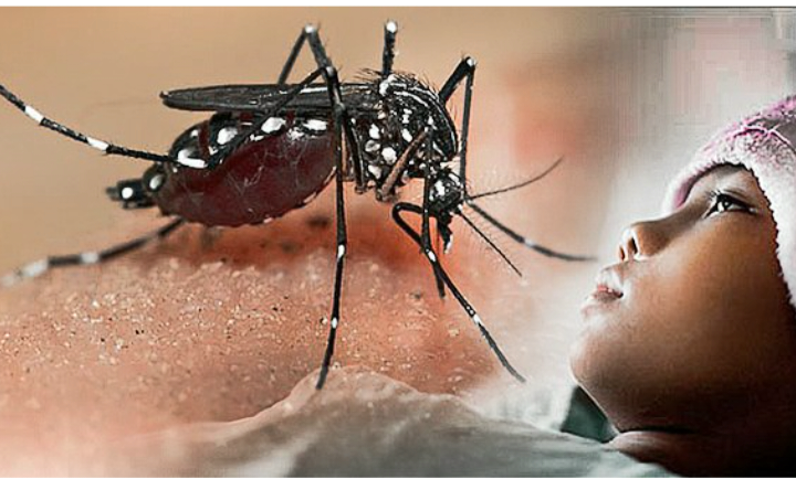 Screenshot_20250910_095319_Chrome