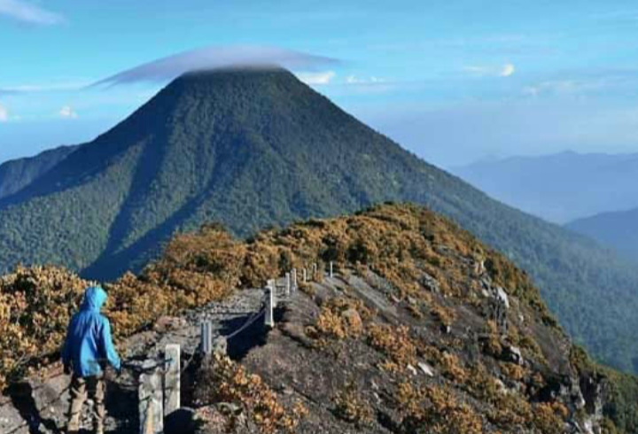 Screenshot_20251011_213952_Gallery